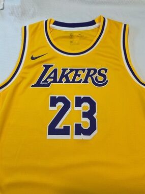 Los Angeles Lakers James Jersey | Child’s L 14/16